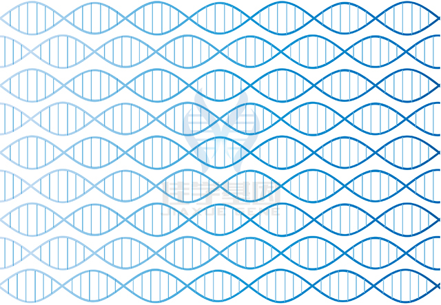 【佳学基因检测】做视隔发育不良轻度基因解码、<a data-cke-saved-href=http://www.jiaxuejiyin.com/tk/jiema/cexujishu/2021/31933.html href=http://www.jiaxuejiyin.com/tk/jiema/cexujishu/2021/31933.html>基因检测</a>需要多少钱?