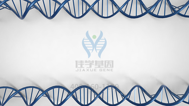 【<a href='http://www.jiaxuejiyin.com/' target='_blank'><u>佳学</u></a>基因检测】原发性肥厚性骨关节病常染色体隐性遗传2型基因解码、<a href=http://www.jiaxuejiyin.com/tk/jiema/cexujishu/2021/31933.html>基因检测</a>可以只做<a href=http://www.jiaxuejiyin.com/tk/jiema/cexujishu/2021/31933.html>基因检测</a>吗？