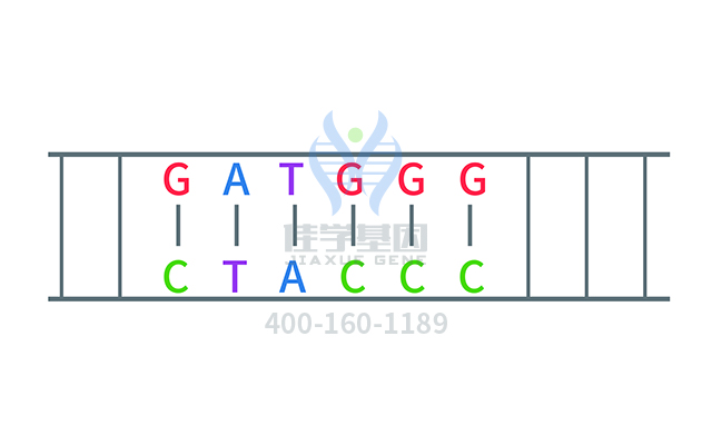 【佳学基因检测】做先天性红细胞生成性卟啉症基因解码、<a href=http://www.jiaxuejiyin.com/tk/jiema/cexujishu/2021/31933.html>基因检测</a>方便吗？