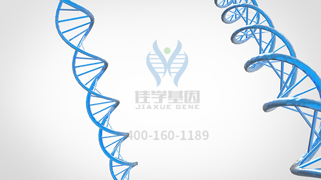 【<a href='http://www.jiaxuejiyin.com/' target='_blank'><u>佳学</u></a>基因检测】选择性脑垂体分泌失调引起的甲状腺激素抵抗基因解码、<a href=http://www.jiaxuejiyin.com/tk/jiema/cexujishu/2021/31933.html>基因检测</a>有什么用？