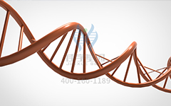 【佳学基因检测】怎么做常染色体隐性广泛性甲状腺激素抵抗基因解码、<a href=http://www.jiaxuejiyin.com/tk/jiema/cexujishu/2021/31933.html>基因检测</a>?
