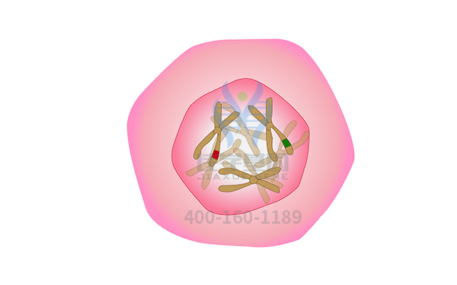 【佳学基因检测】做甲状腺相关性眼病易感性基因解码、<a href=http://www.jiaxuejiyin.com/tk/jiema/cexujishu/2021/31933.html>基因检测</a>需要到总部吗？