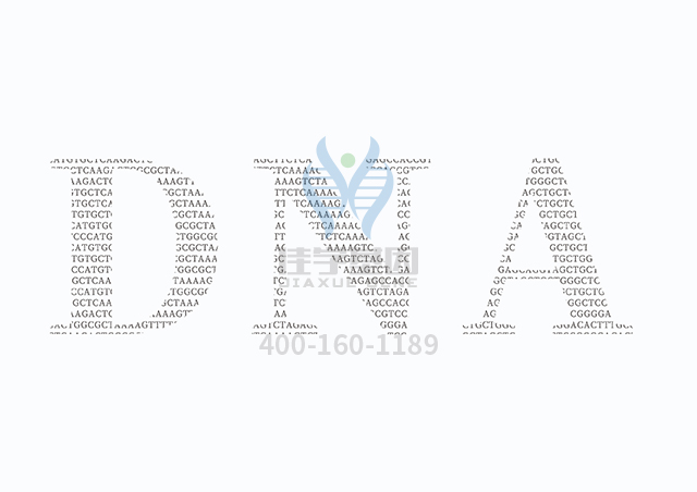 【佳学基因检测】眼皮肤白化病3型基因解码、<a href=http://www.jiaxuejiyin.com/tk/jiema/cexujishu/2021/31933.html>基因检测</a>的报告看得懂吗？