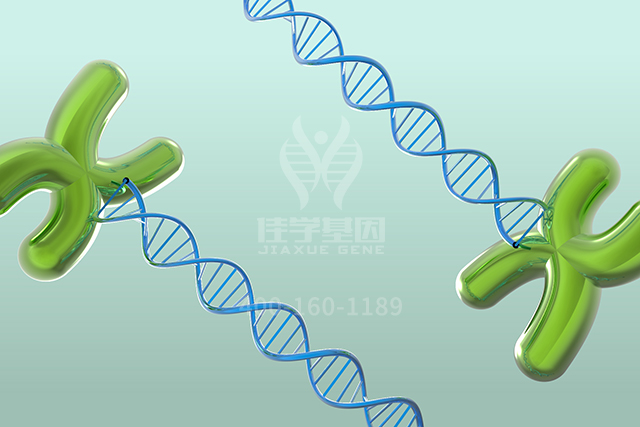 <b>【佳学基因检测】药房主任如何询问关于ASS1P14的分子病理检测知识</b>