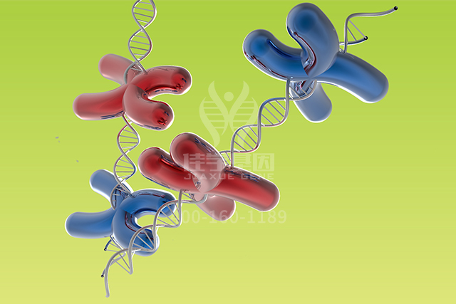 <b>【佳学基因检测】心血管内科分子病理检测考查中关于ATP1B1P1的要点</b>