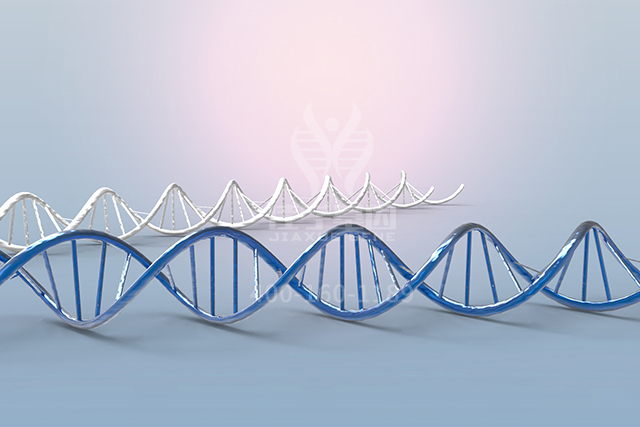 <b>【佳学基因检测】医学博士ARSF分子病理检测的知识结构准备</b>