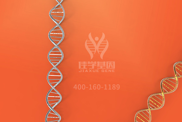 <b>【佳学基因检测】医学院专升本关于NBEAP1分子病理检测的基本技能</b>