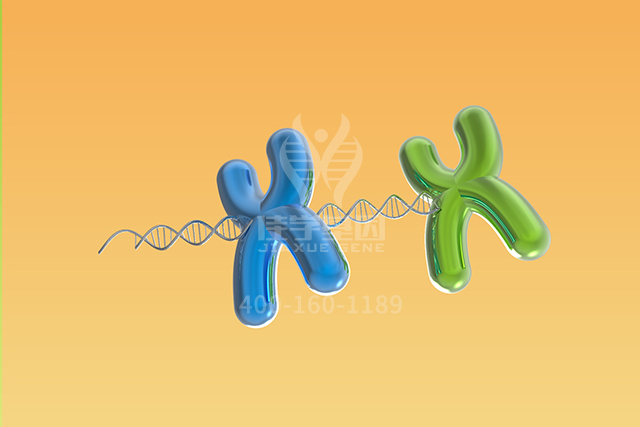 <b>【佳学基因检测】生殖科突变检测项目招标中关于APBA1的问题及答案</b>