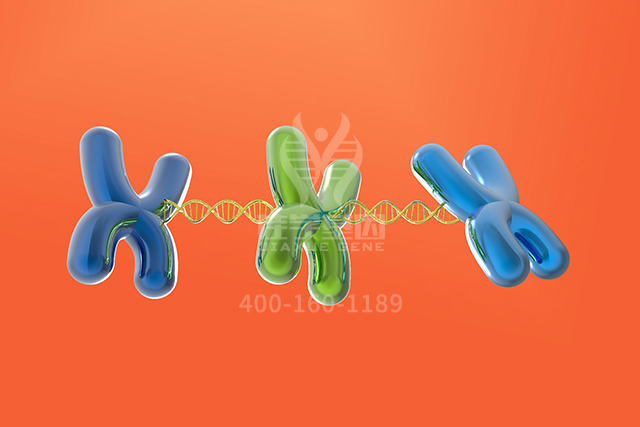 <b>【佳学基因检测】妈妈分子病理检测存在APOF突变，我会受到什么影响？</b>