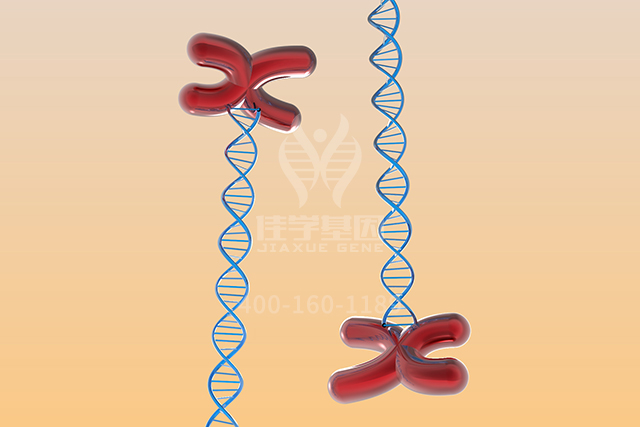 <b>【佳学基因检测】主治医师分子病理检测BAK1P1内容要点</b>