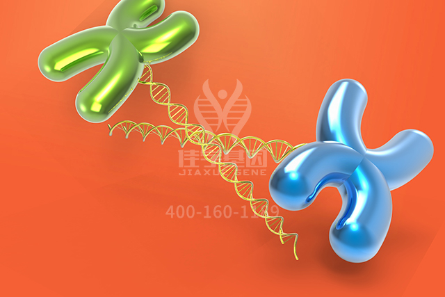 <b>【佳学基因检测】这些关于ART4的内容，是突变检测准确性的必要条件</b>