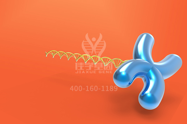 <b>【佳学基因检测】神经外科学中如何充实APOC1P1分子病理检测内容</b>