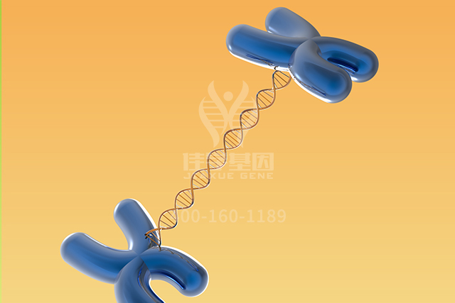 <b>【佳学基因检测】生殖科分子病理检测项目招标中关于ALDH7A1P1的问题及答案</b>