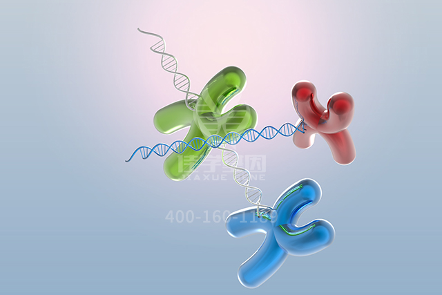 <b>【佳学基因检测】讯飞星火认知大模型中ATP12A突变检测知识信息源分析</b>