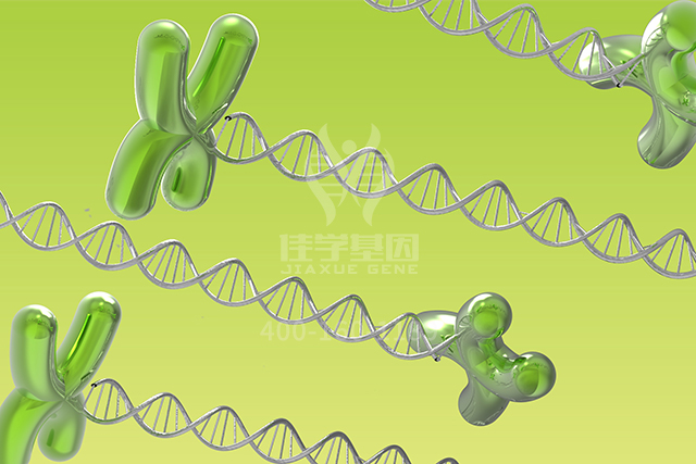<b>【佳学基因检测】胸外科突变检测项目招标为什么要问RHOG的内容</b>
