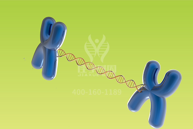 <b>【佳学基因检测】胸外科分子病理检测项目招标为什么要问ASS1P6的内容</b>