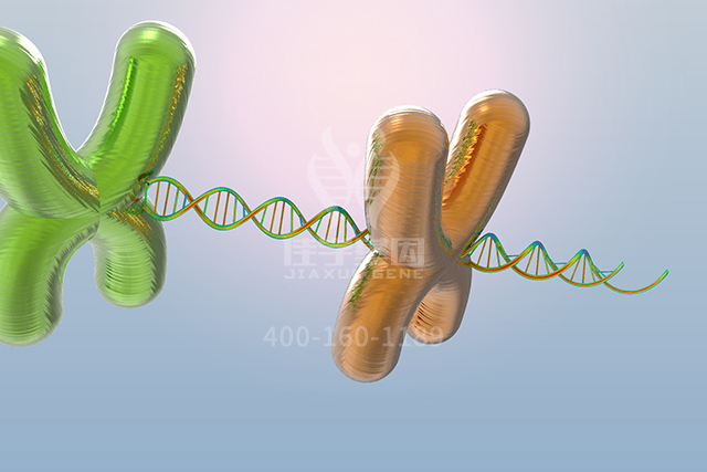 <b>【佳学基因检测】这些关于ARF4P1的内容，是分子病理检测准确性的必要条件</b>