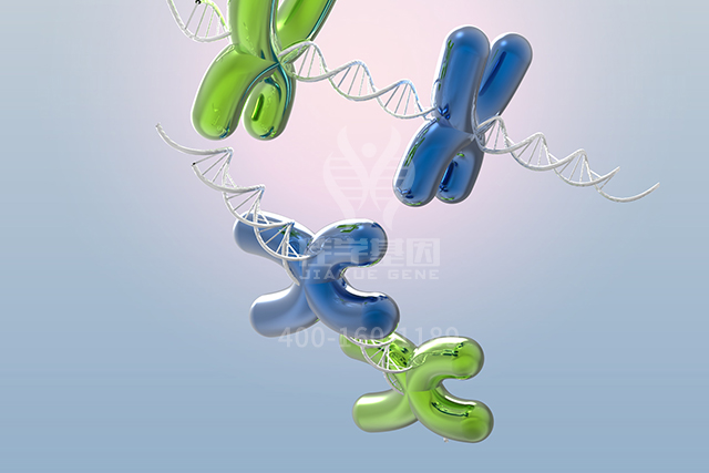 <b>【佳学基因检测】医学院专升本关于HCN2突变检测的基本技能</b>