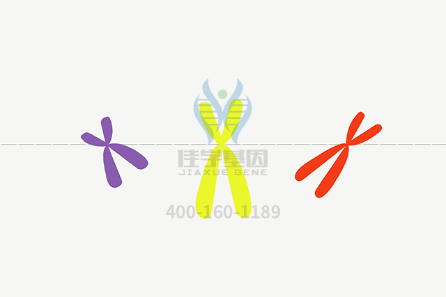 ATP1B3分子病理检测有突变会得什么病?