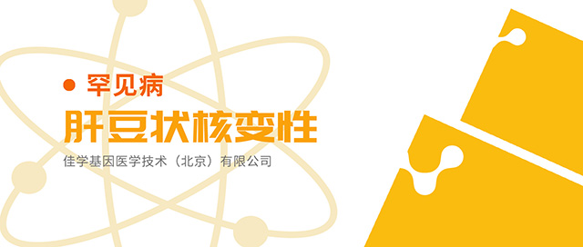 罕见病-肝豆状核变性基因检测