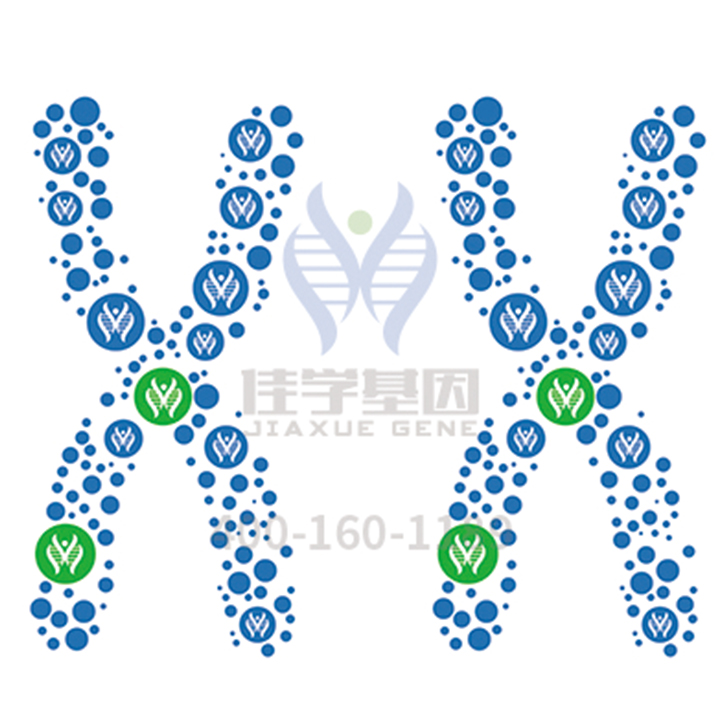 <b>【佳学基因检测】科技部课题的背景准备中，需要包括的CD59的内容</b>