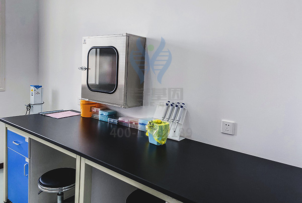 病例讨论会中需要知道的关于CD80的知识