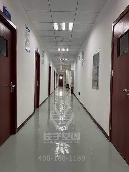 分子病理学分析中CCR6的基本知识