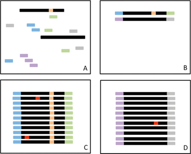 <b>【佳学基因检测】CNGA1基因评估分析突变是否需要再检测一次</b>