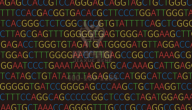 <b>【佳学基因检测】CTSLP2疾病筛查突变是否需要再检测一次</b>