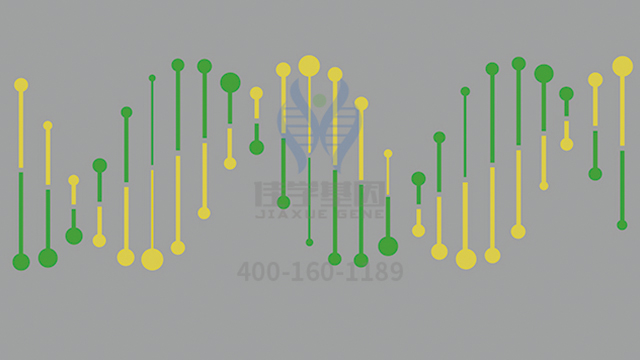 <b>【佳学基因-基因检测】如何预防家族性阿尔茨海默病？</b>