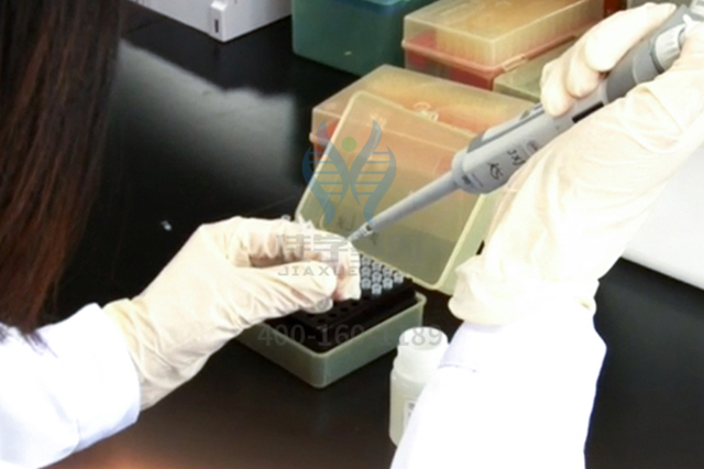 <b>【佳学基因检测】全基因测序CYP19A1疾病筛查有意义未明突变，我该怎么办？</b>