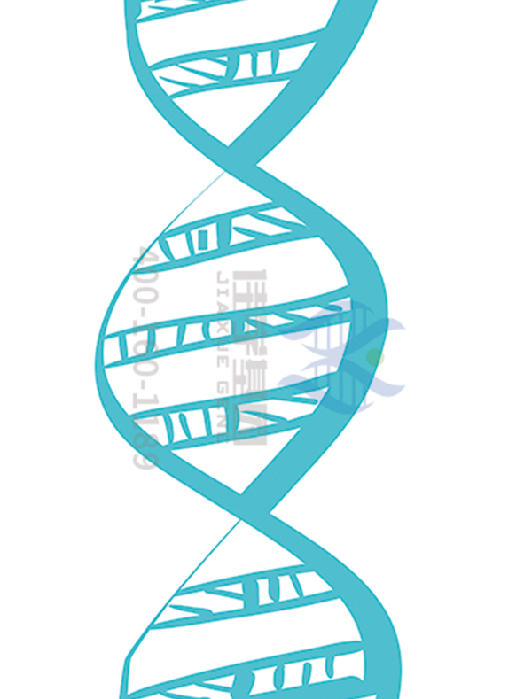 <b>【佳学基因检测】DIO2基因检测找到病因后应该用什么靶向药物？</b>