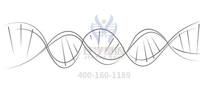 <b>【佳学基因检测】神经外科学中如何充实FDPS疾病风险评估内容</b>