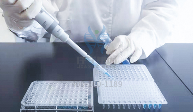 <b>【佳学基因检测】染色体疾病筛查FMO2存在突变，如何理解？</b>