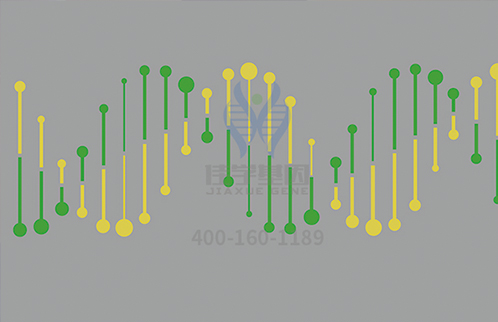 【佳学基因-基因