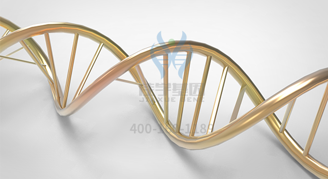 【佳学基因检测