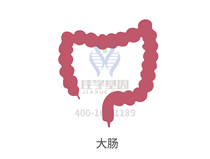 【佳学基因检测