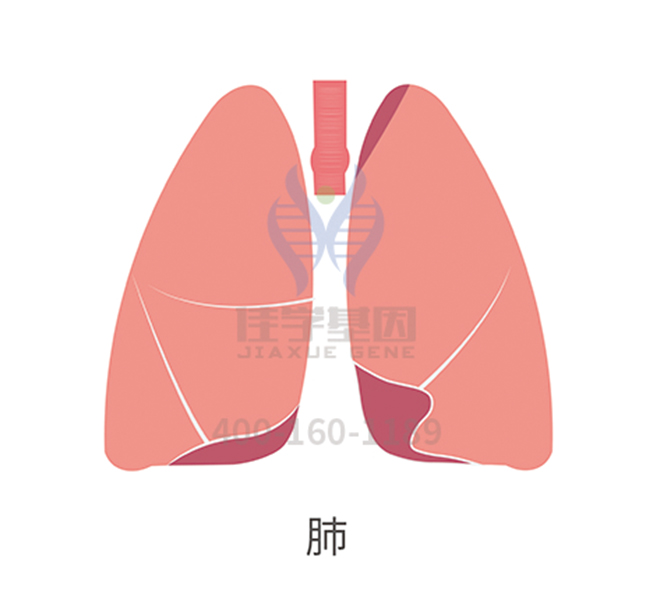【佳学基因检测