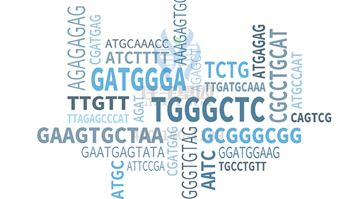 <b>【佳学基因检测】DVL1突变检测突变是否需要再检测一次</b>