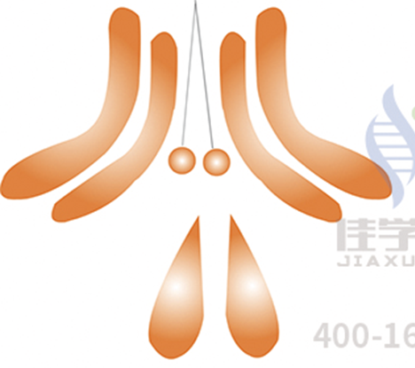 <b>【佳学基因检测】全基因测序EVI2B分子病理检测有意义未明突变，我该怎么办？</b>