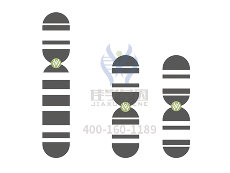 <b>【佳学基因检测】EVPL分子病理检测的意义</b>