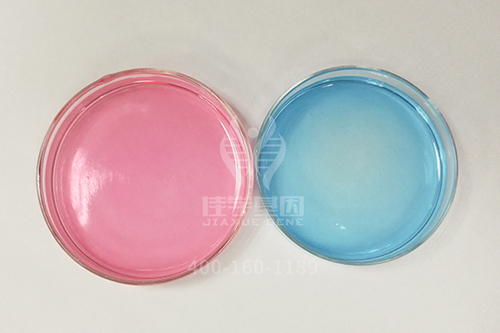 <b>【佳学基因检测】心血管内科遗传测试考查中关于ENSA的要点</b>