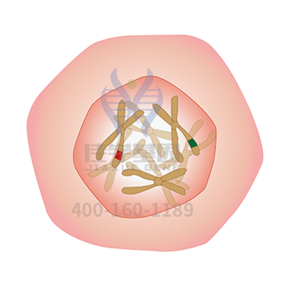 <b>【佳学基因检测】F7R的群体遗传学结果对分子病理检测准确性的影响</b>