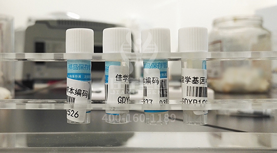 <b>【佳学基因检测】分子病理检测包没有包含EIF2D基因怎么办？</b>