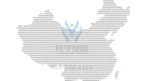 <b>【佳学基因检测】分子病理检测套餐是否应当有LGTN基因？</b>