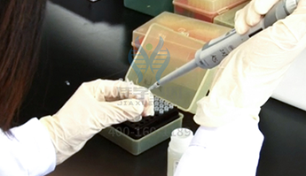 <b>【佳学基因检测】临床医学硕士关于EMP3遗传测试的必备内容</b>